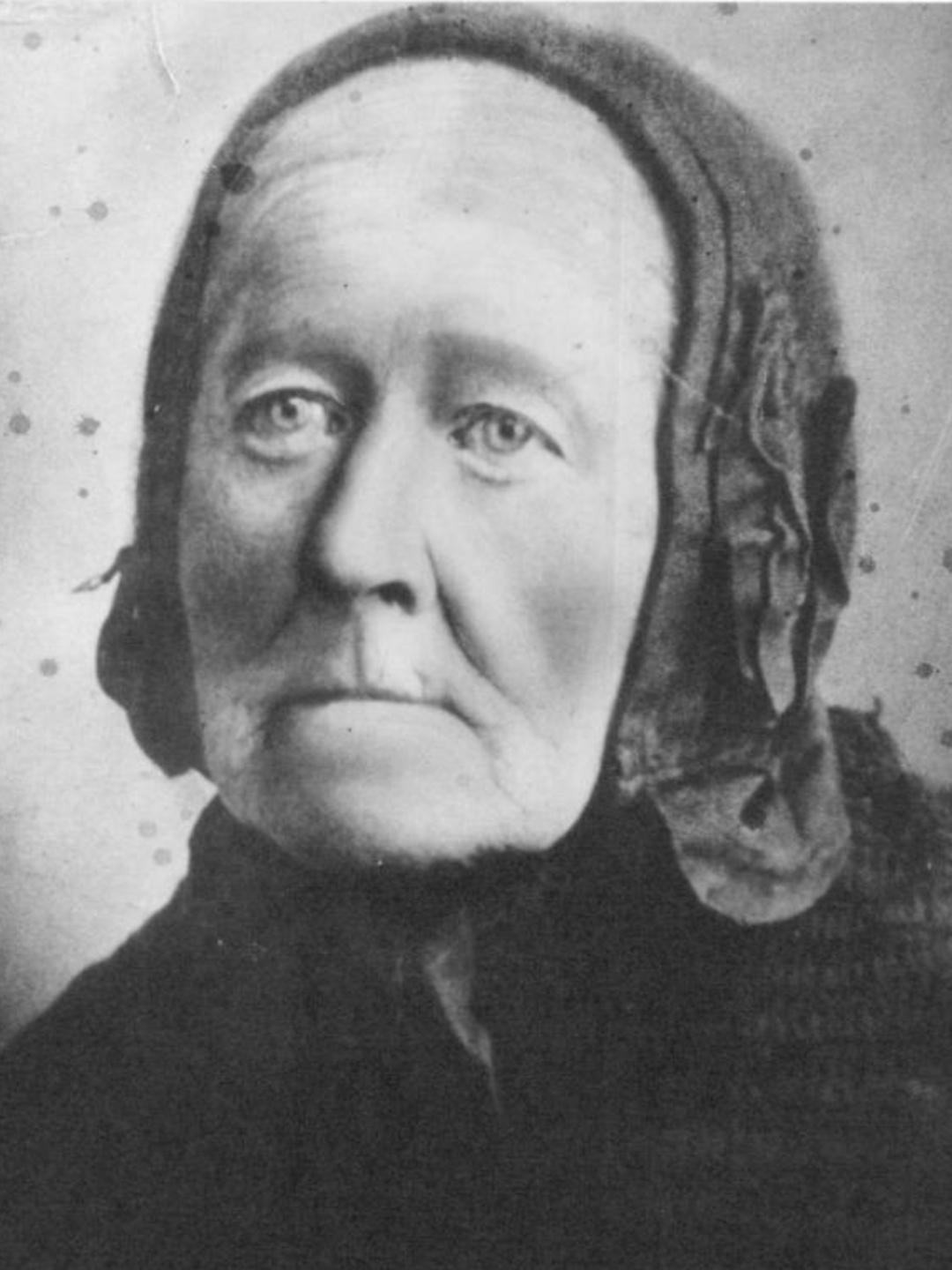 Sarah Jennings Hayes (1813 - 1900) Profile